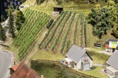 La vigne et son chariot.