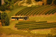 Un bus TPG sillonne la campagne genevoise.